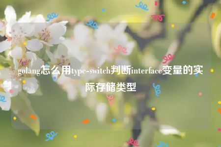 golang怎么用type-switch判断interface变量的实际存储类型