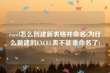 excel怎么创建新表格并命名(为什么新建的EXCEL表不能重命名了)