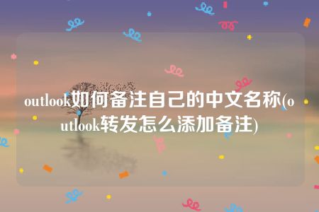 outlook如何备注自己的中文名称(outlook转发怎么添加备注)