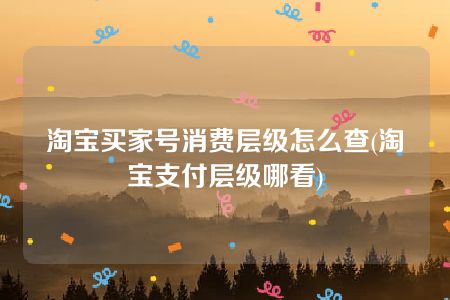 淘宝买家号消费层级怎么查(淘宝支付层级哪看)