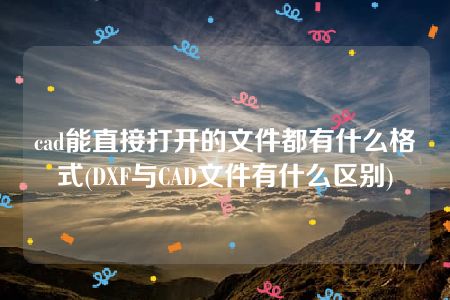 cad能直接打开的文件都有什么格式(DXF与CAD文件有什么区别)