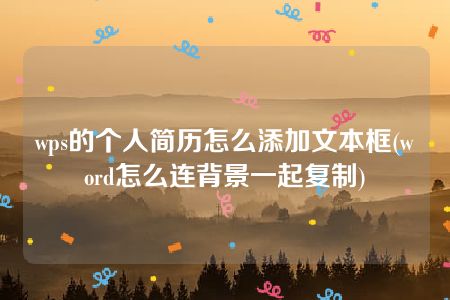 wps的个人简历怎么添加文本框(word怎么连背景一起复制)