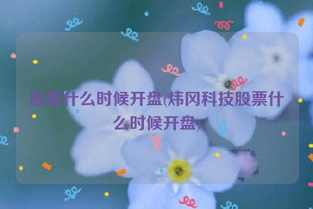 股票什么时候开盘(炜冈科技股票什么时候开盘)