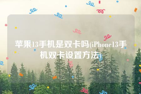 苹果13手机是双卡吗(iPhone13手机双卡设置方法)