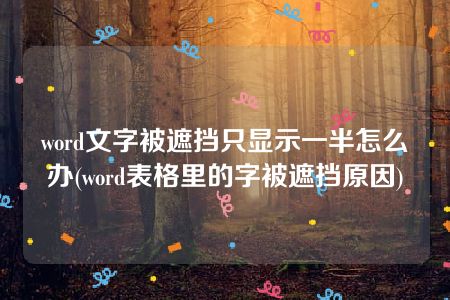 word文字被遮挡只显示一半怎么办(word表格里的字被遮挡原因)