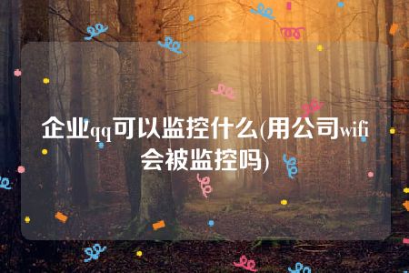 企业qq可以监控什么(用公司wifi会被监控吗)