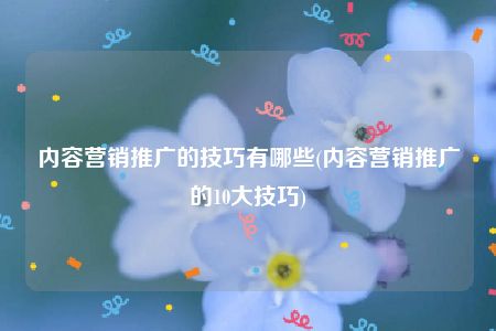 内容营销推广的技巧有哪些(内容营销推广的10大技巧)