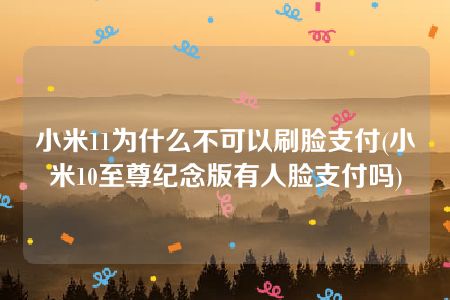 小米11为什么不可以刷脸支付(小米10至尊纪念版有人脸支付吗)