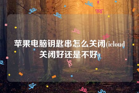 苹果电脑钥匙串怎么关闭(icloud关闭好还是不好)