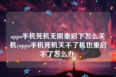 oppo手机死机无限重启下怎么关机(oppo手机死机关不了机也重启不了怎么办)