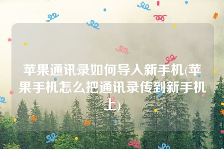 苹果通讯录如何导入新手机(苹果手机怎么把通讯录传到新手机上)