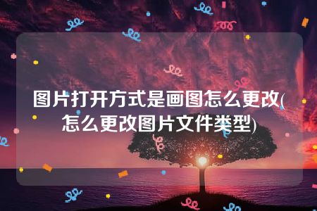 图片打开方式是画图怎么更改(怎么更改图片文件类型)