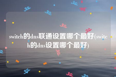 switch的dns联通设置哪个最好(switch的dns设置哪个最好)