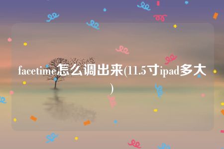 facetime怎么调出来(11.5寸ipad多大)