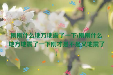 刚刚什么地方地震了一下(刚刚什么地方地震了一下刚才是不是又地震了)