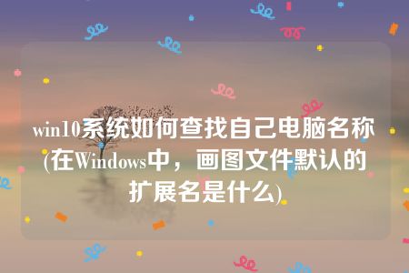 win10系统如何查找自己电脑名称(在Windows中，画图文件默认的扩展名是什么)