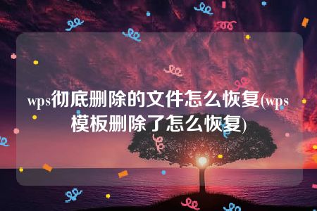 wps彻底删除的文件怎么恢复(wps模板删除了怎么恢复)