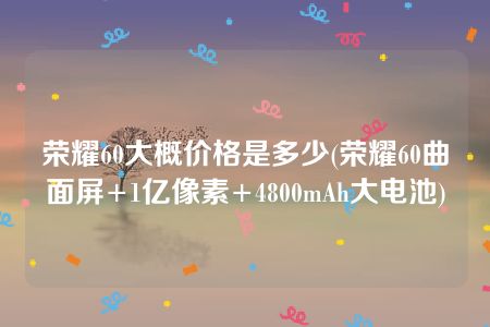 荣耀60大概价格是多少(荣耀60曲面屏+1亿像素+4800mAh大电池)