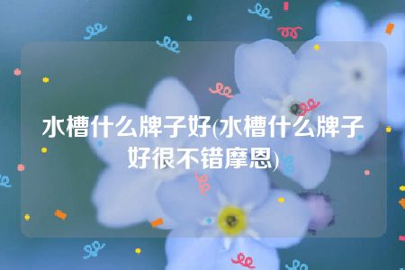 水槽什么牌子好(水槽什么牌子好很不错摩恩)