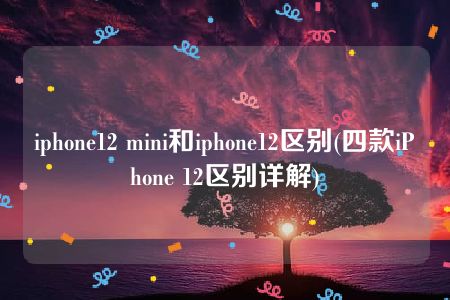 iphone12 mini和iphone12区别(四款iPhone 12区别详解)