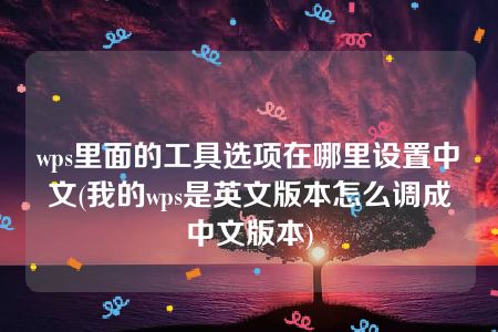 wps里面的工具选项在哪里设置中文(我的wps是英文版本怎么调成中文版本)