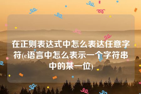 在正则表达式中怎么表达任意字符(c语言中怎么表示一个字符串中的某一位)