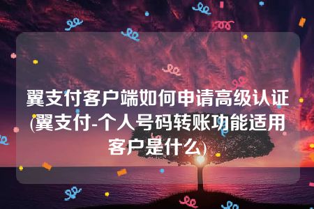 翼支付客户端如何申请高级认证(翼支付-个人号码转账功能适用客户是什么)