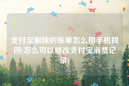 支付宝删除的账单怎么用手机找回(怎么可以修改支付宝消费记录)