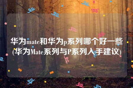 华为mate和华为p系列哪个好一些(华为Mate系列与P系列入手建议)