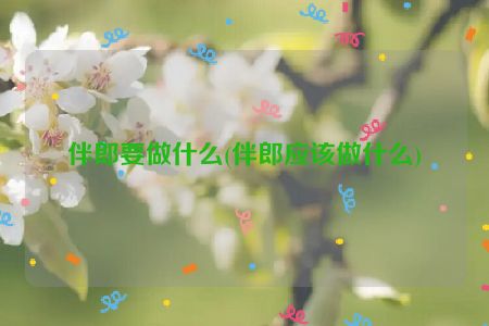 伴郎要做什么(伴郎应该做什么)