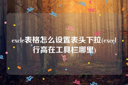 excle表格怎么设置表头下拉(excel行高在工具栏哪里)