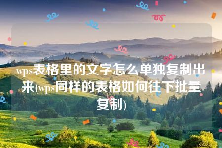 wps表格里的文字怎么单独复制出来(wps同样的表格如何往下批量复制)