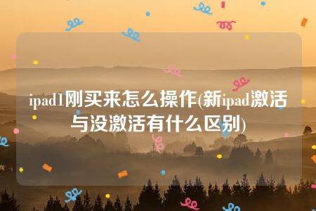 ipad1刚买来怎么操作(新ipad激活与没激活有什么区别)