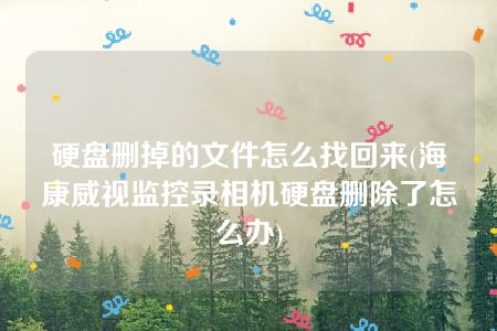 硬盘删掉的文件怎么找回来(海康威视监控录相机硬盘删除了怎么办)