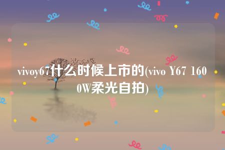 vivoy67什么时候上市的(vivo Y67 1600W柔光自拍)