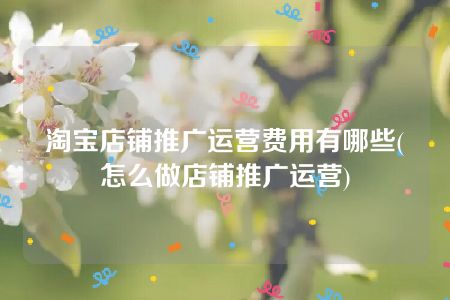 淘宝店铺推广运营费用有哪些(怎么做店铺推广运营)