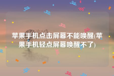 苹果手机点击屏幕不能唤醒(苹果手机轻点屏幕唤醒不了)