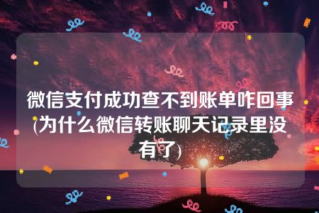 微信支付成功查不到账单咋回事(为什么微信转账聊天记录里没有了)