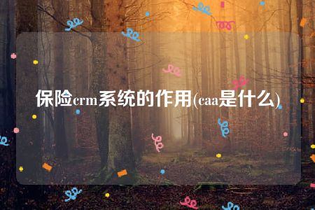 保险crm系统的作用(caa是什么)