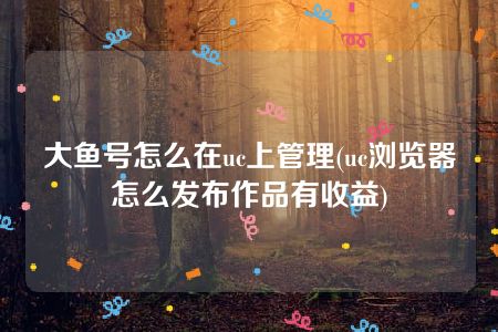 大鱼号怎么在uc上管理(uc浏览器怎么发布作品有收益)