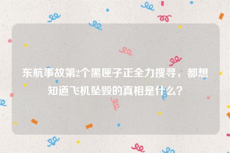 东航事故第2个黑匣子正全力搜寻，都想知道飞机坠毁的真相是什么？