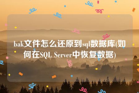 bak文件怎么还原到sql数据库(如何在SQL Server中恢复数据)