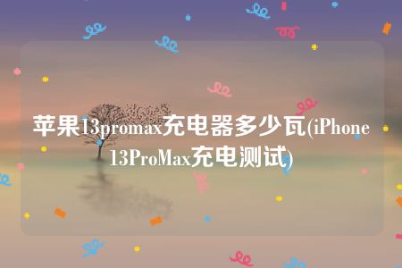 苹果13promax充电器多少瓦(iPhone13ProMax充电测试)